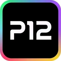 Project Twelve 14413